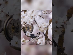 Λίλυ Ρόουζ Όσμανθους Δόντια Λευκαντική οδοντόκρεμα σε συσκευασία λευκού χαρτιού 400g